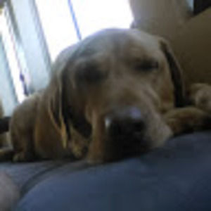 Meet your Posher, Willy